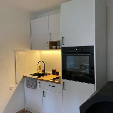 Kruna - Golija Holiday home *