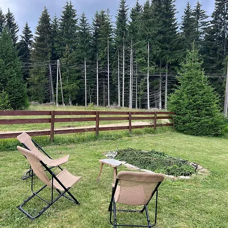 Kruna - Golija Holiday home *